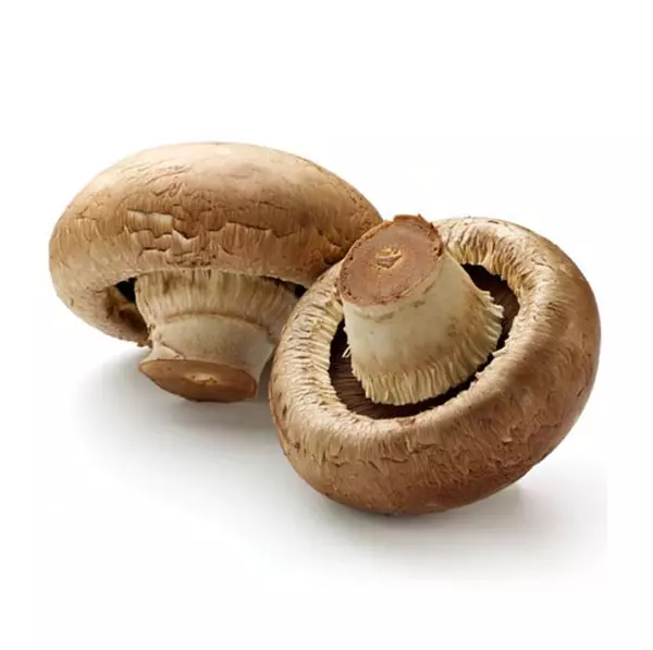 Champiñon Portobello