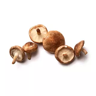 Champiñon Shiitake