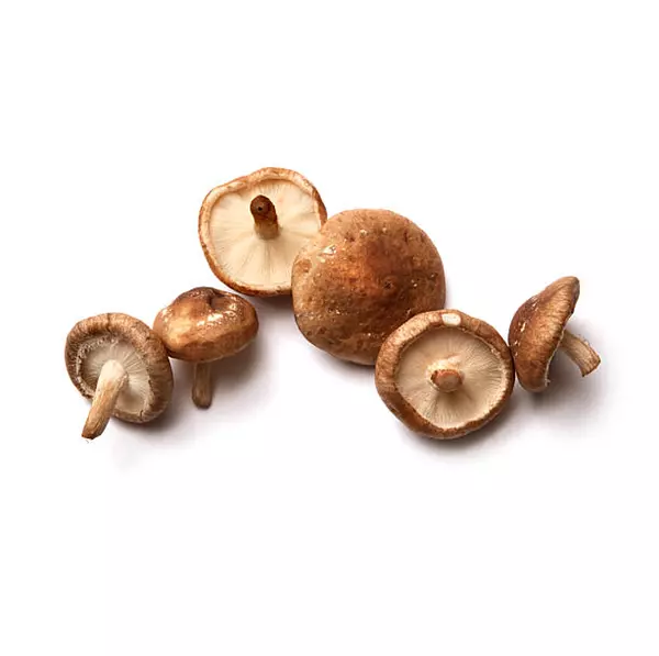 Champiñon Shiitake