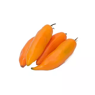 Chile Aji Peruano