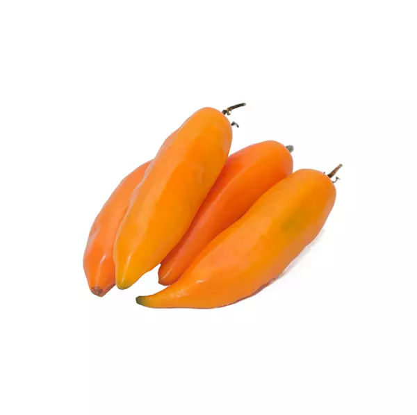 Chile Aji Peruano