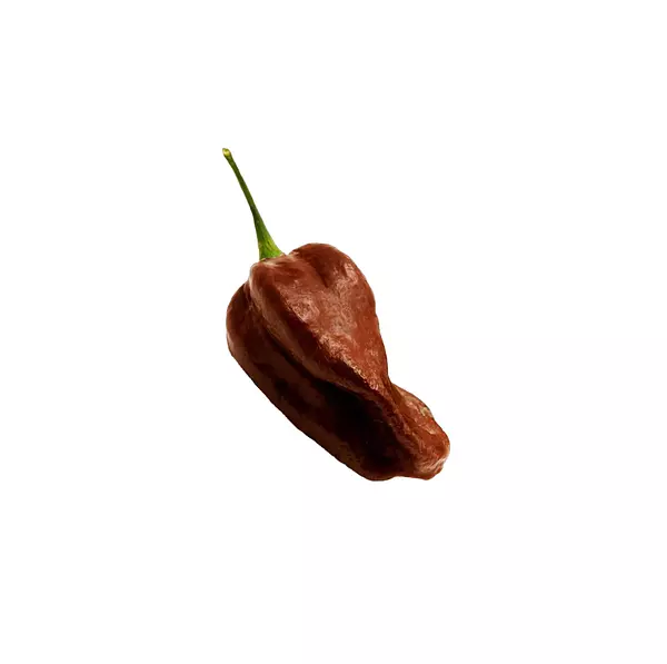 Chile Habanero Chocolate