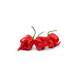 Chile Carolina Reaper