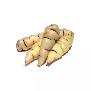 Cubios