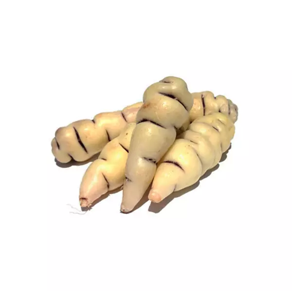 Cubios