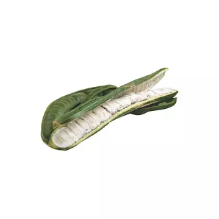Guama