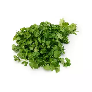 Cilantro Manojo