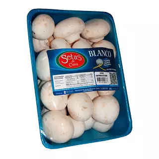Champiñón Kilo