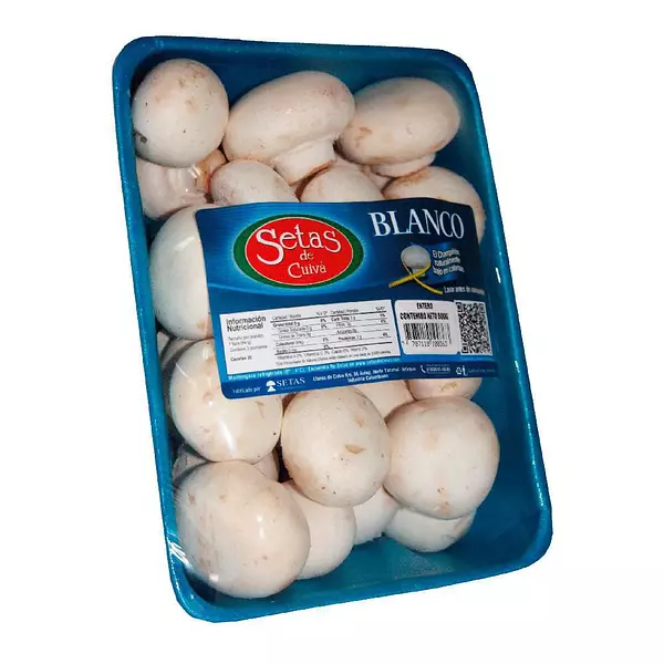 Champiñón Kilo