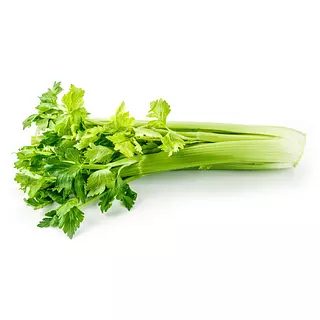 Apío