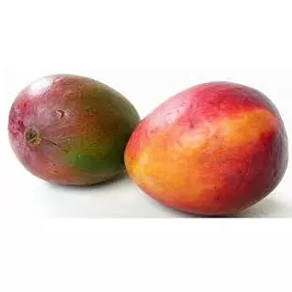 Mango Tommy