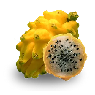 Pitahaya Amarilla