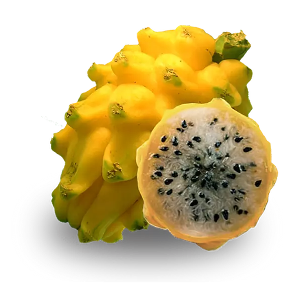 Pitahaya Amarilla