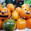 Calabaza Halloween